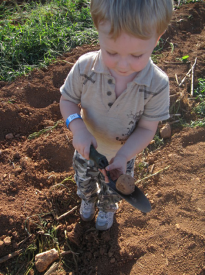Potato Education at Great Country Farms for Home school and general admission guests.