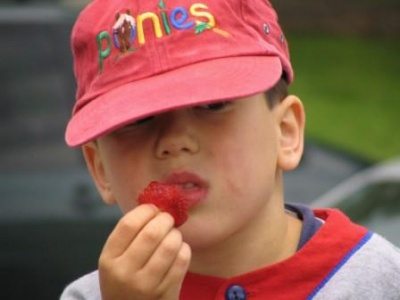 Strawberry Tours at Great Country Farms include a strawberry tasting and this young man savors a strawberry as red as his ball cap.
