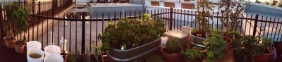 cropped-img_8601