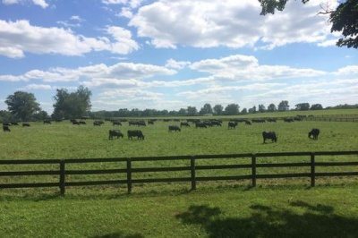 38b8f6de84c8c13490ead5b44744b2c9