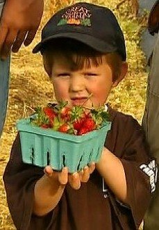 Farmer Miller Zurschmeide proudly holds up a green pint box of pick your own strawberries at Great Country Farms