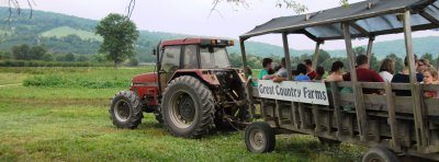 Wagon rides take guest out to pick apples and pumpkins at Great Country Farms in Northern Virginia.