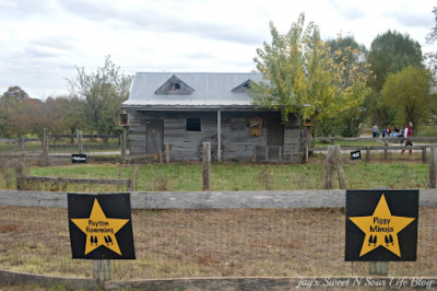 The stars of fame are displayed at the Pig Racing Barn at Great Country Farms