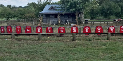 2019 Pig Racing Barn at Great Country Farms with Red Washington Capitals Jerzeys displaying the swine names for the season.
