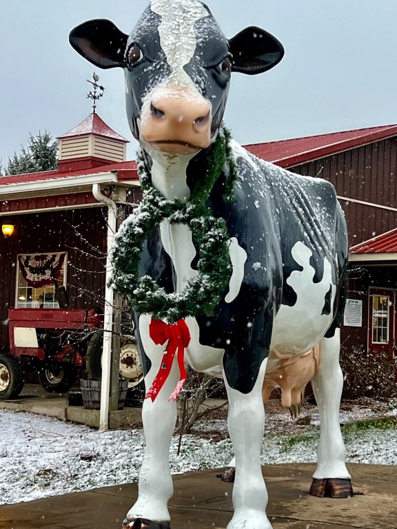 The iconic giant cow at Great Country Farms welcomes little ones to story time.