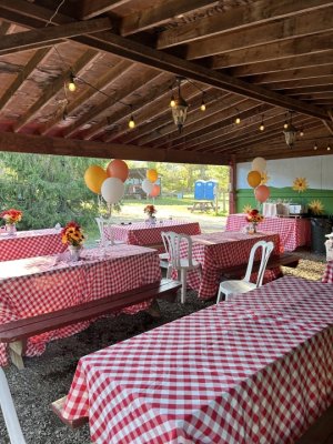 Birthday parties are festive at Great Country Farms where guests have added red check table covers, flower and balloon for a child's Farm birthday party.