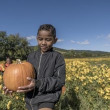 Boy walking through field while holding a pumpkin