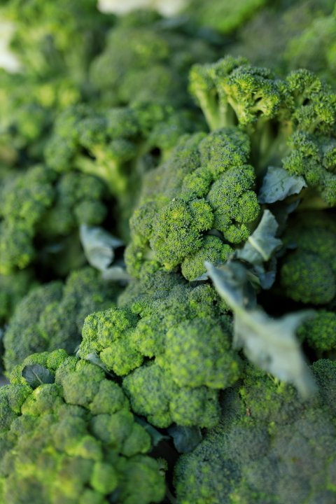 Close up of broccoli