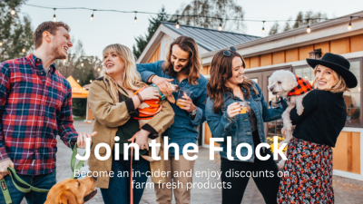 Flock Membership graphic. Image of group of men and women cheersing in front of the Henway Hard Cider Tasting Room