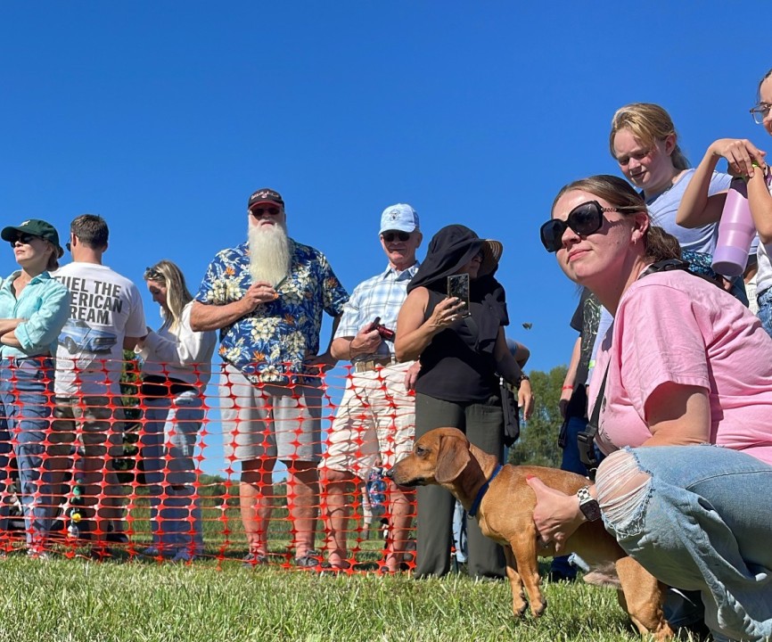 Doxie Derby Rescue Race at Great Country Farms in Bluemont
